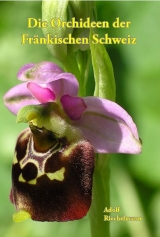 Die Orchideen der Fr&auml;nkischen Schweiz - Adolf Riechelmann