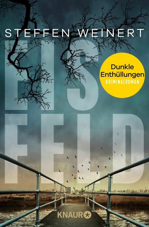 Eisfeld &ndash; Dunkle Enth&uuml;llungen - Steffen Weinert