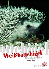Wei&szlig;bauchigel - Daniela Guist