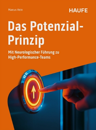 Das Potenzial-Prinzip