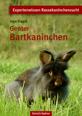 Genter Bartkaninchen - Inge Frasch