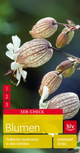 Blumen - Dankwart Seidel