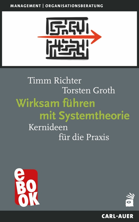 Wirksam f&uuml;hren mit Systemtheorie - Timm Richter, Torsten Groth