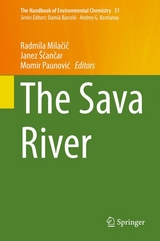 The Sava River - 