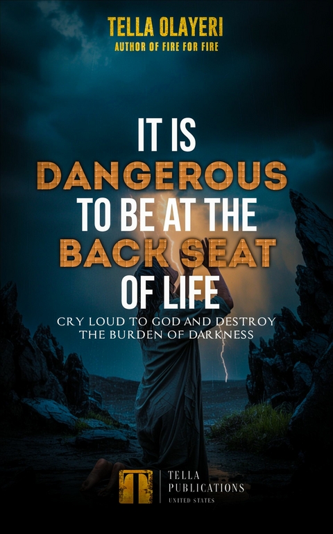 It Is Dangerous To Be At The Back  Seat Of Life -  Tella Olayeri