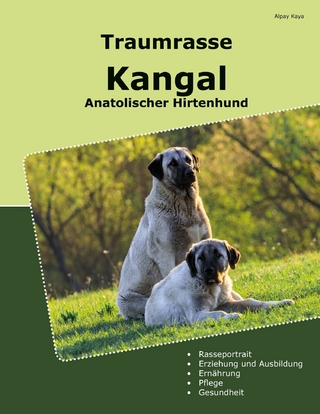 Traumrasse Kangal