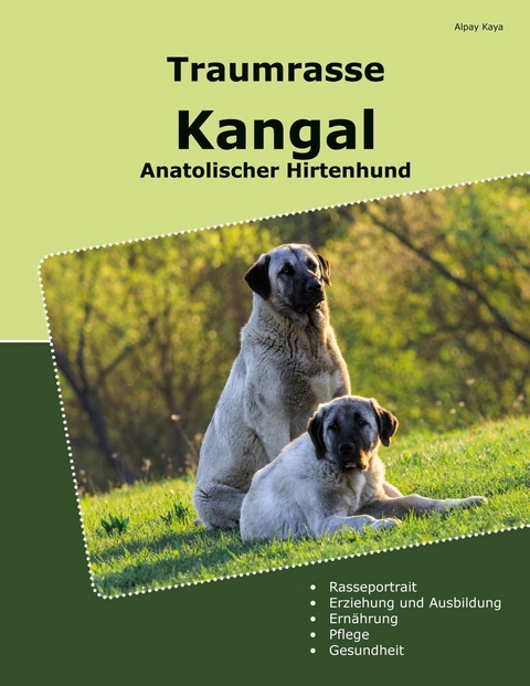 Traumrasse Kangal - Alpay Kaya