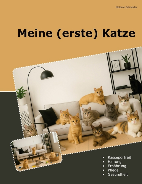 Meine (erste) Katze -  Melanie Schneider