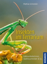 Insekten im Terrarium - Mathias Schneider