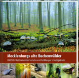 Mecklenburgs alte Buchenw&auml;lder - Klaus Borrmann