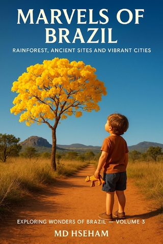Marvels of Brazil