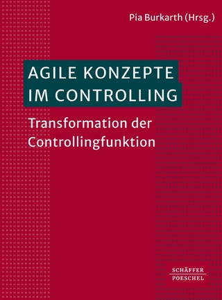 Agile Konzepte im Controlling
