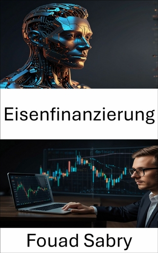 Eisenfinanzierung
