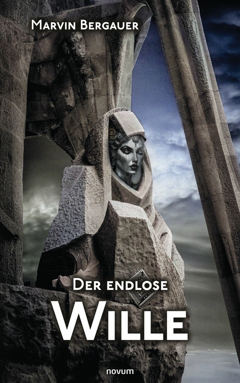 Der endlose Wille -  Marvin Bergauer