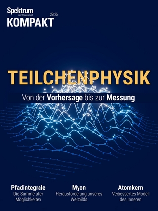 Spektrum Kompakt - Teilchenphysik