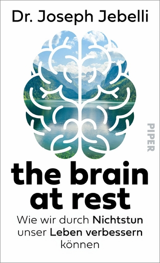 the brain at rest