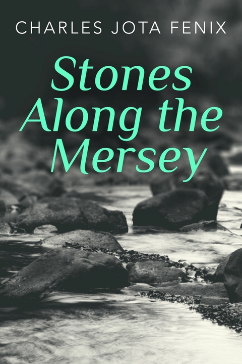 Stones Along the Mersey -  Charles Jota Fenix