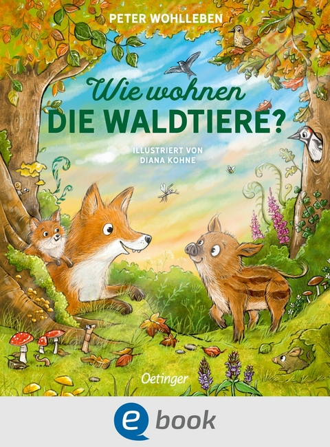 Wie wohnen die Waldtiere? - Peter Wohlleben