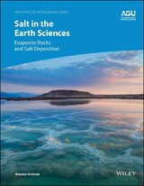 Salt in the Earth Sciences - Webster Mohriak
