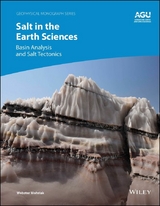 Salt in the Earth Sciences - Webster Mohriak