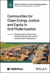 Communities for Clean Energy Justice and Equity in Grid Modernization - 