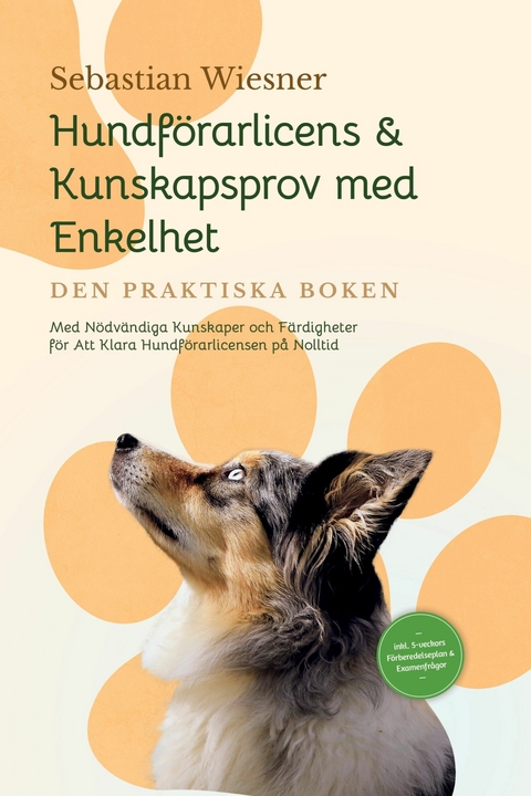 Hundf&ouml;rarlicens & Kunskapsprov med Enkelhet &ndash; Den Praktiska Boken: Med N&ouml;dv&auml;ndiga Kunskaper och F&auml;rdigheter f&ouml;r Att Klara Hundf&ouml;rarlicensen p&aring; Nolltid | Inkluderar 5-veckors F&ouml;rberedelseplan & Examenfr&aring;gor - Sebastian Wiesner