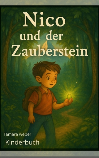 Nico und der Zauberstein