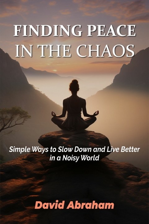 FINDING PEACE IN THE CHAOS -  David Abraham