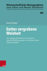 Gottes vergrabene Weisheit - Yannick Schanz