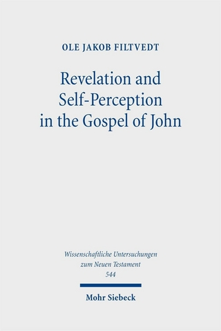 Revelation and Self-Perception in the Gospel of John