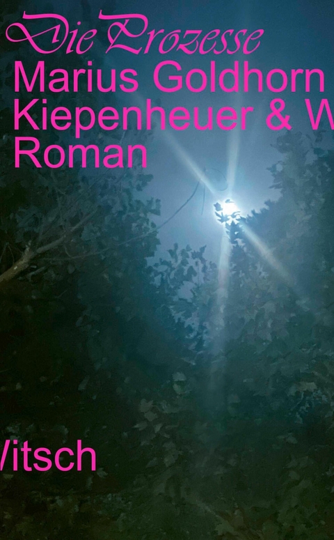Die Prozesse - Marius Goldhorn