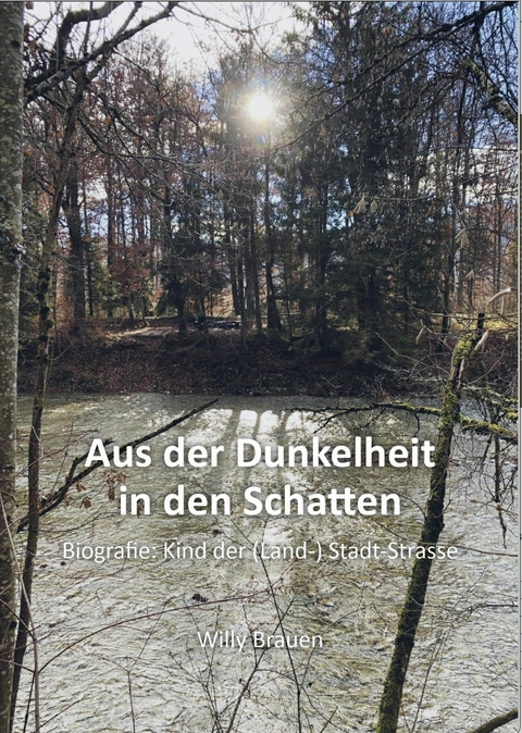 Aus der Dunkelheit in den Schatten - Willy Brauen