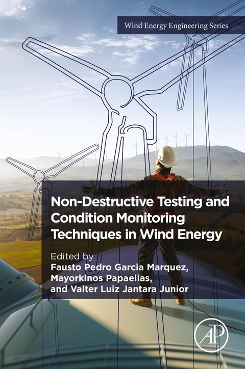 Non-Destructive Testing and Condition Monitoring Techniques in Wind Energy - 