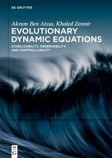 Evolutionary Dynamic Equations - Akram Ben Aissa, Khaled Zennir