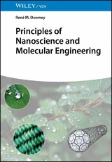 Principles of Nanoscience and Molecular Engineering - Ren&eacute; M. Overney