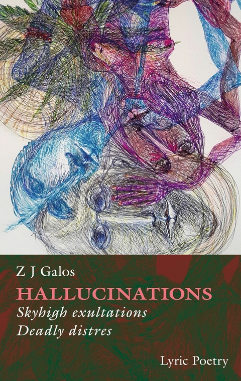 Hallucinations -  Z J Galos