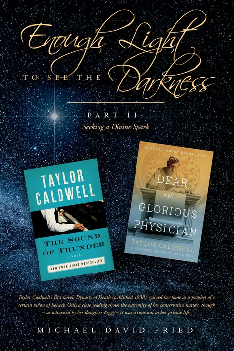 Enough Light to see the Darkness: -  Michael Fried