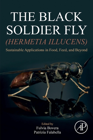 Black Soldier Fly (Hermetia illucens)