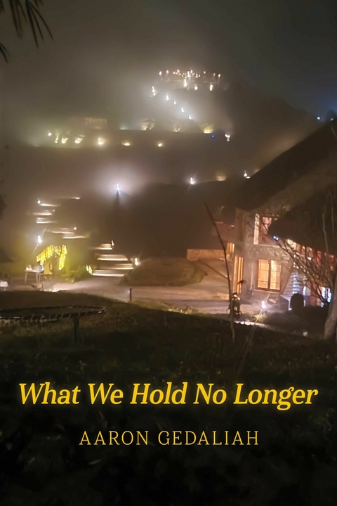 What We Hold No Longer -  Aaron Gedaliah