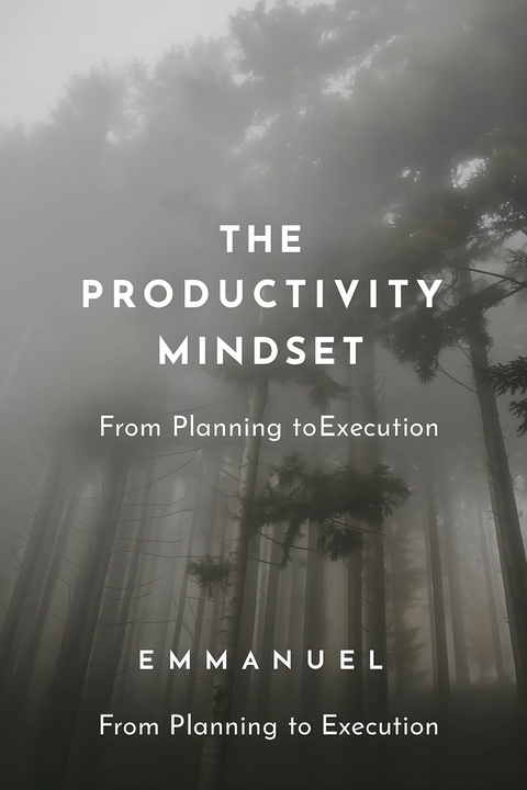 The Productivity Mindset -  Emmanuel