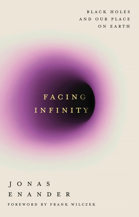 Facing Infinity - Jonas Enander