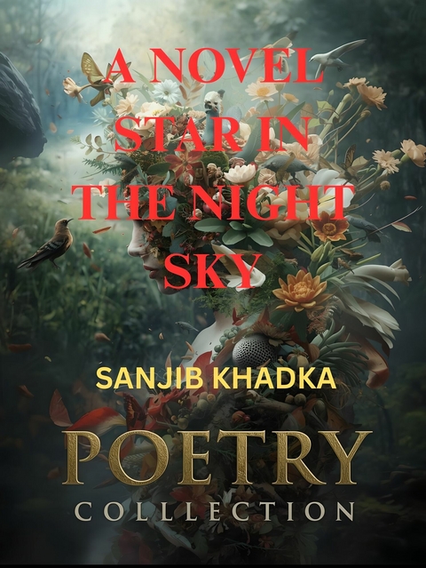 A novel star in the night sky -  Sanjib Khadka