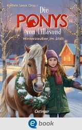 Die Ponys von Lillasund 3. Winterzauber im Stall - Kathrin Lena Orso