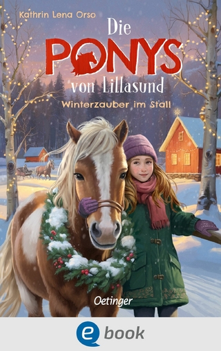 Die Ponys von Lillasund 3. Winterzauber im Stall