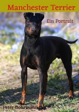 Manchester Terrier - Peter Bohrmann