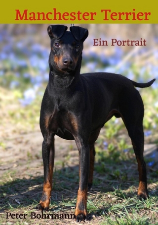 Manchester Terrier