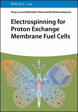 Electrospinning for Proton Exchange Membrane Fuel Cells