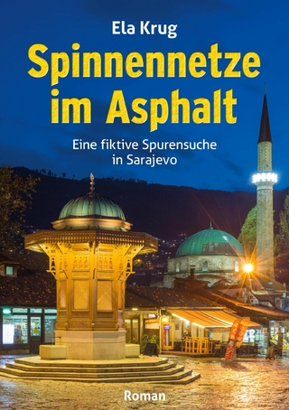 Spinnennetze im Asphalt