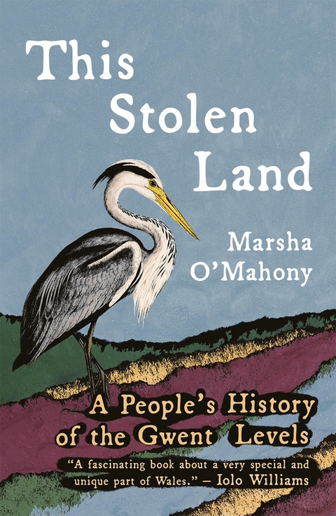 This Stolen Land - Marsha O'Mahony