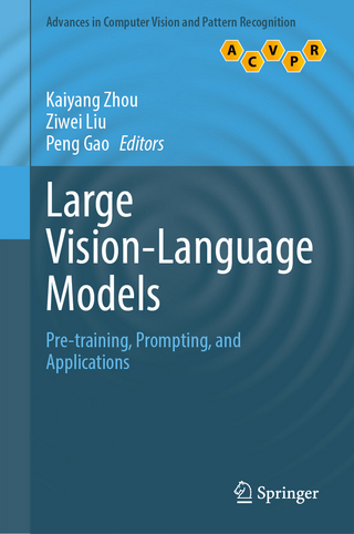 Large Vision-Language Models